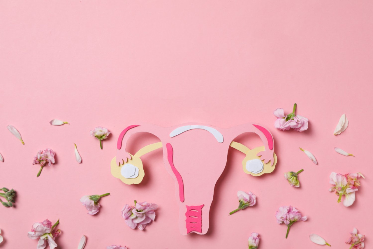  Kanker Rahim: Memahami Gejala, Faktor Risiko, Pengobatan, dan Upaya Pencegahan